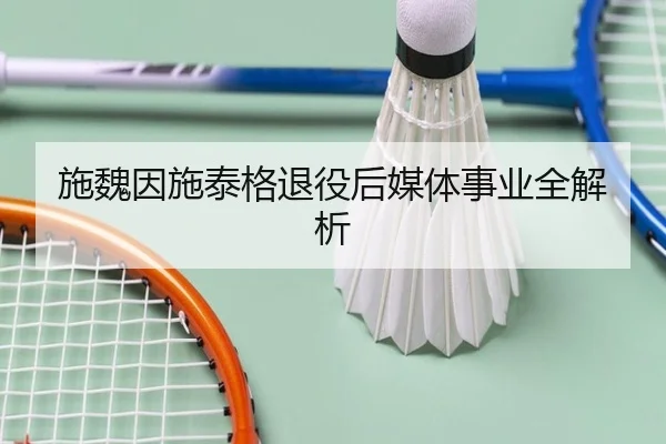 施魏因施泰格退役后媒体事业全解析